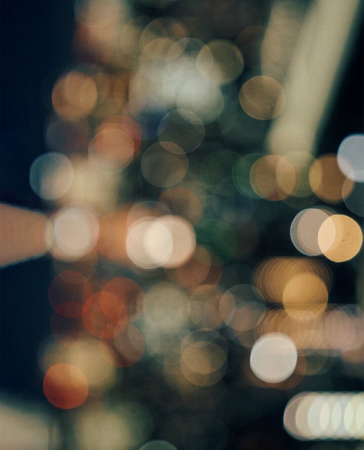 藤森星児氏撮影による写真