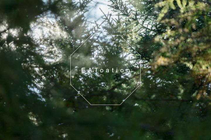 「EATcation & MUSIC」と題して開催される、体験型イベント第一弾