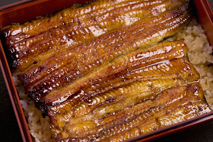 土用の丑の日の意味を分かりやすく解説!