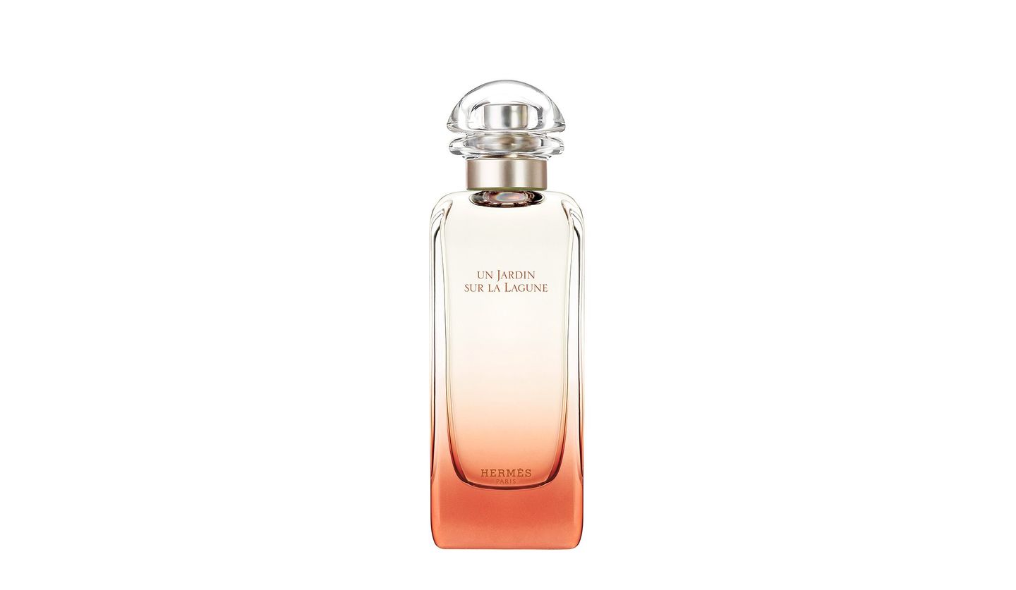 エルメス HERMES ラグーナの庭 100ml EDT SP fs - ア行