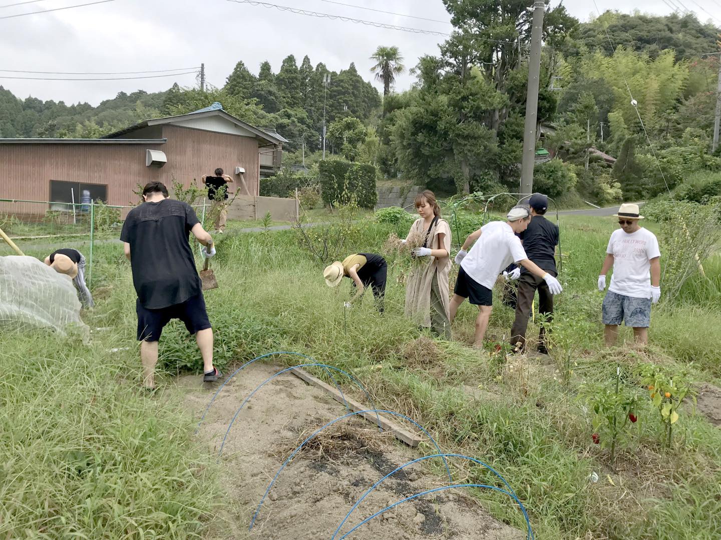大好きなヘアサロンZACCから、美容師の大野喜郎さんを始め、16人が畑仕事を手助けに来てくれました! あっという間にきれいになって大助かりでした