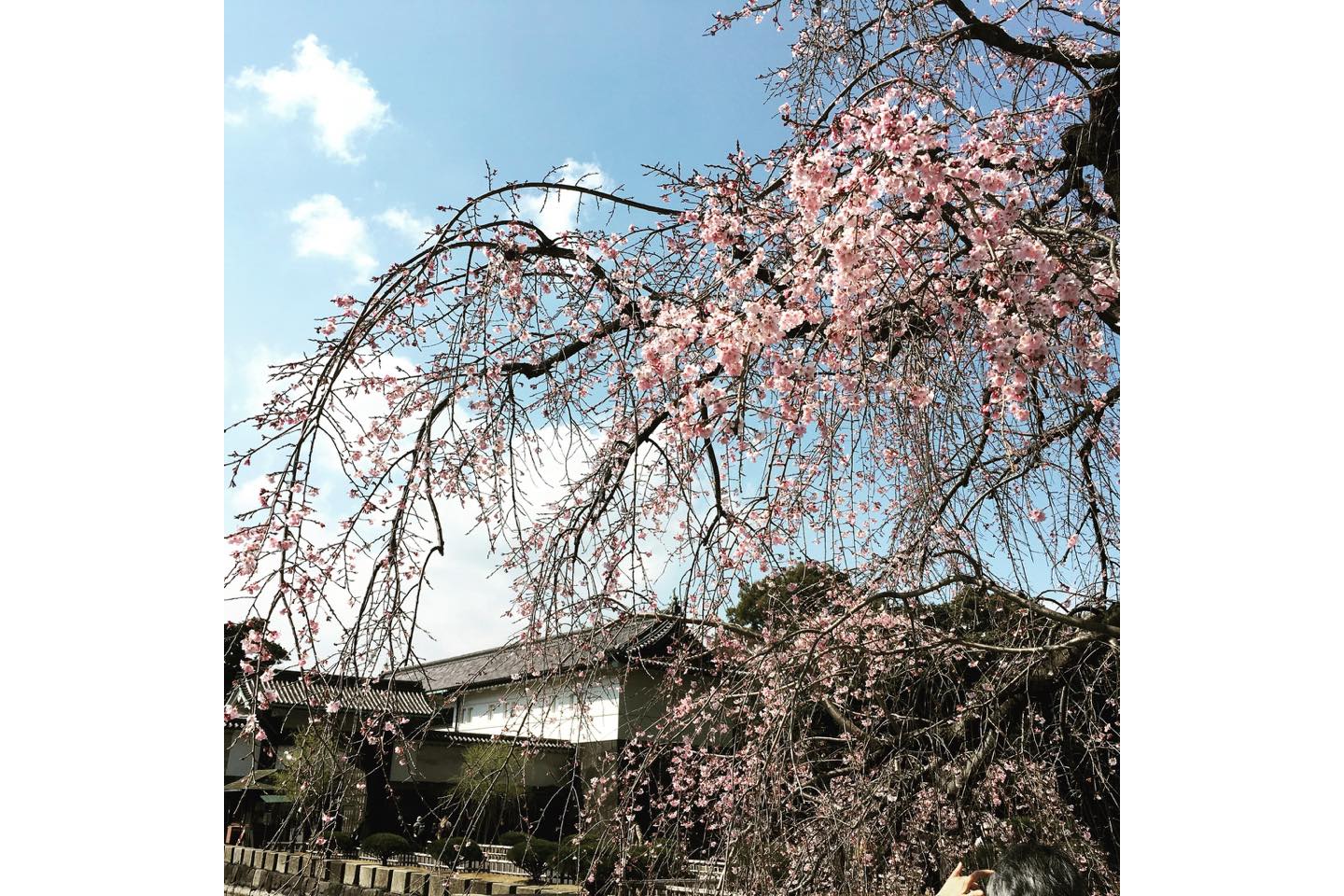 2014年の3月のことでした