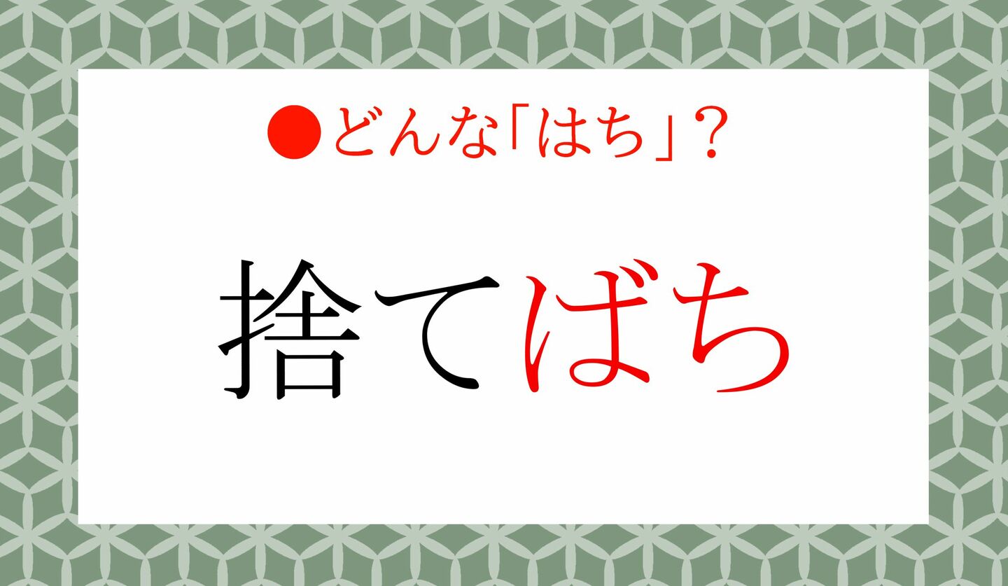 日本語クイズ　出題画像　「捨てばち」「ばち」ってなんのこと？