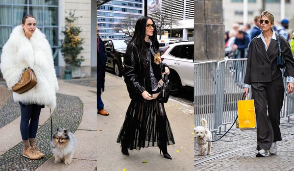 【愛犬とセレブ】デミ・ムーアはドレスアップ派！おしゃれコーデ３選【海外スナップ】