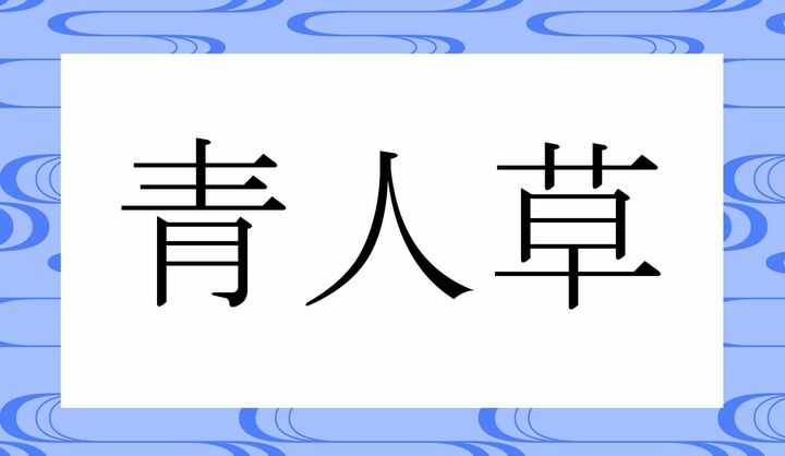 かな6文字です。