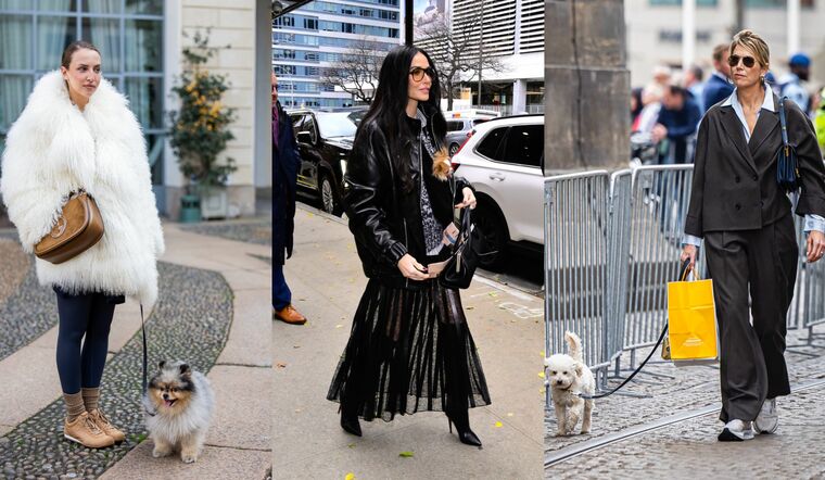 セレブと愛犬のおしゃれコーデ３選