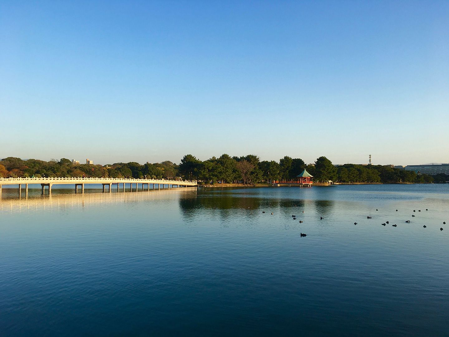 福岡のセントラルパーク、大濠公園。