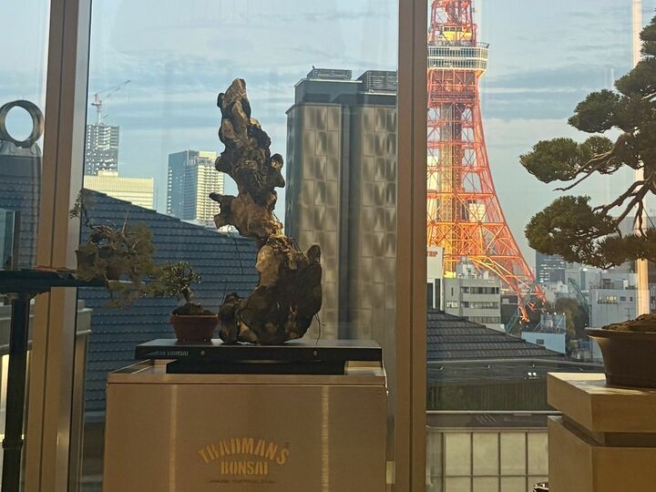 肉_7,酒_7,ホテル_7,東京_7