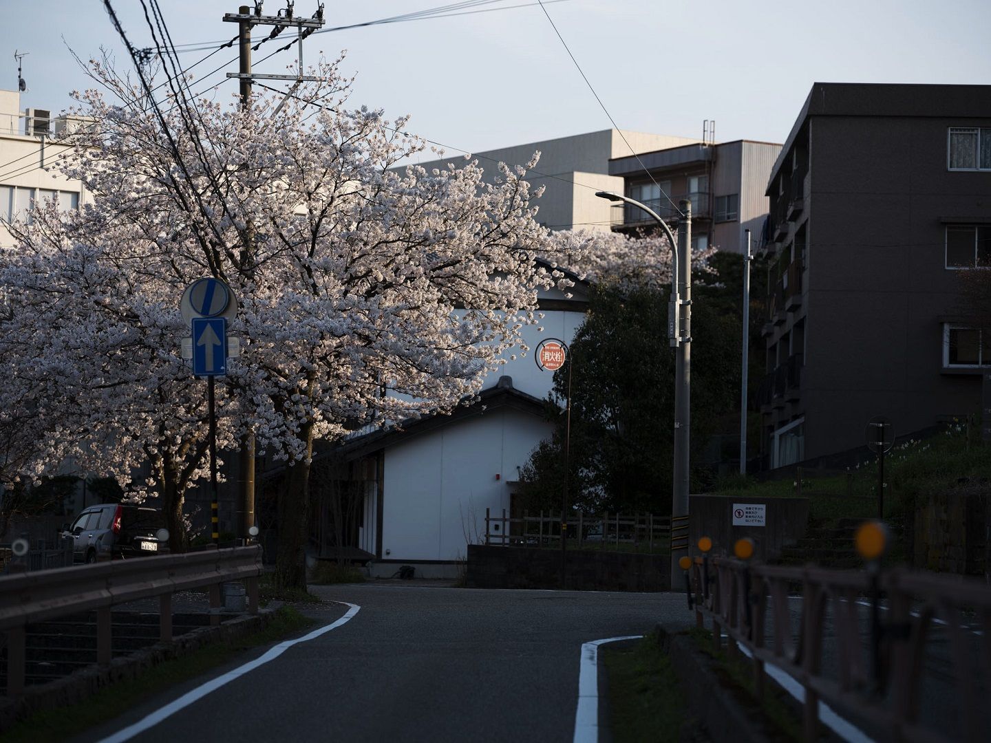 展覧会_6,stayathome_6,花_6