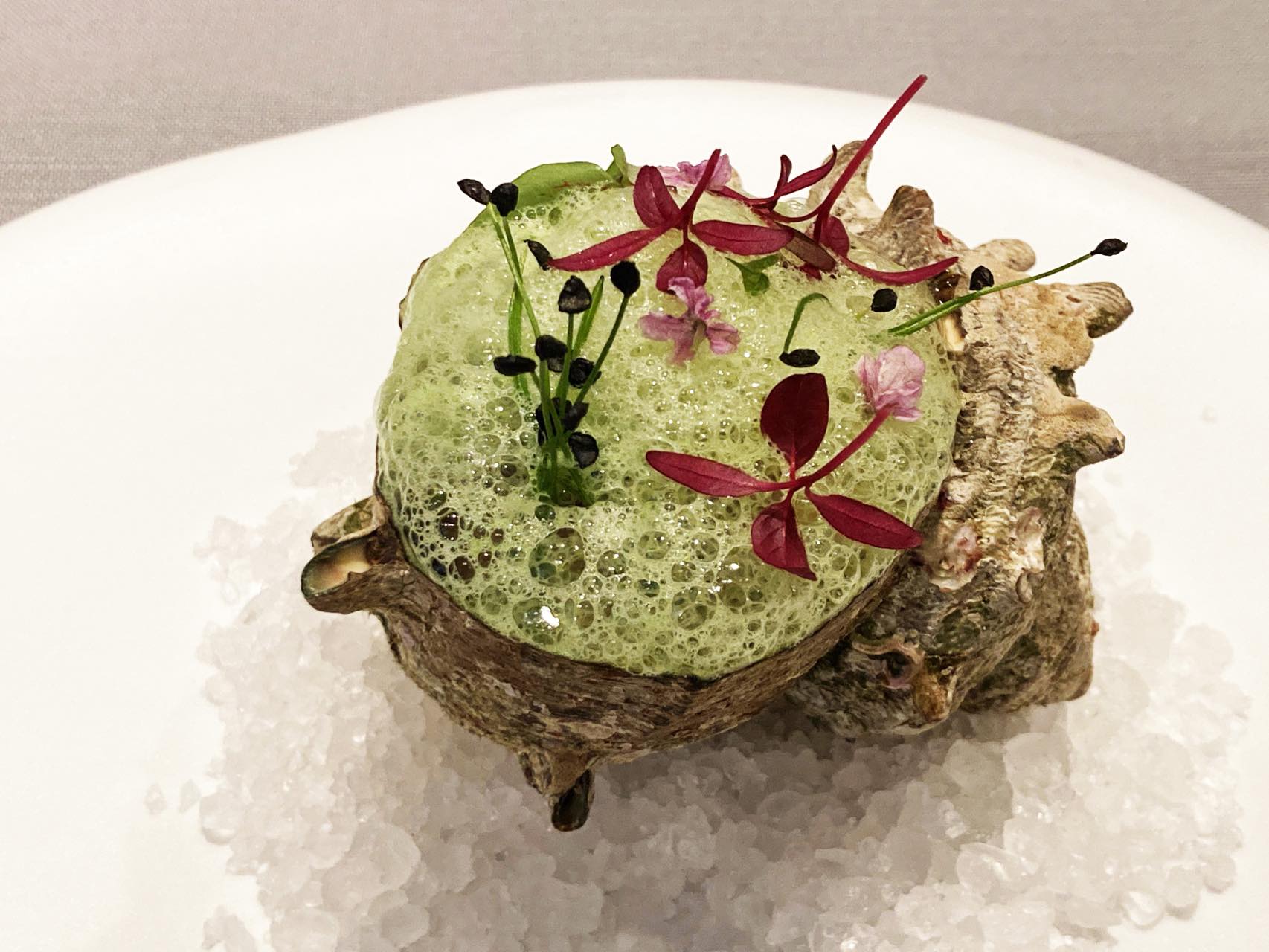 なんとも美しい前菜は「島根産サザエとトマトのジュレ、肝ムース」。緑色のスプーマの下にはサザエやジュンサイなどが隠されていて、小さなスプーンで掘り進んいくうちいろいろな味に出会える仕掛け。