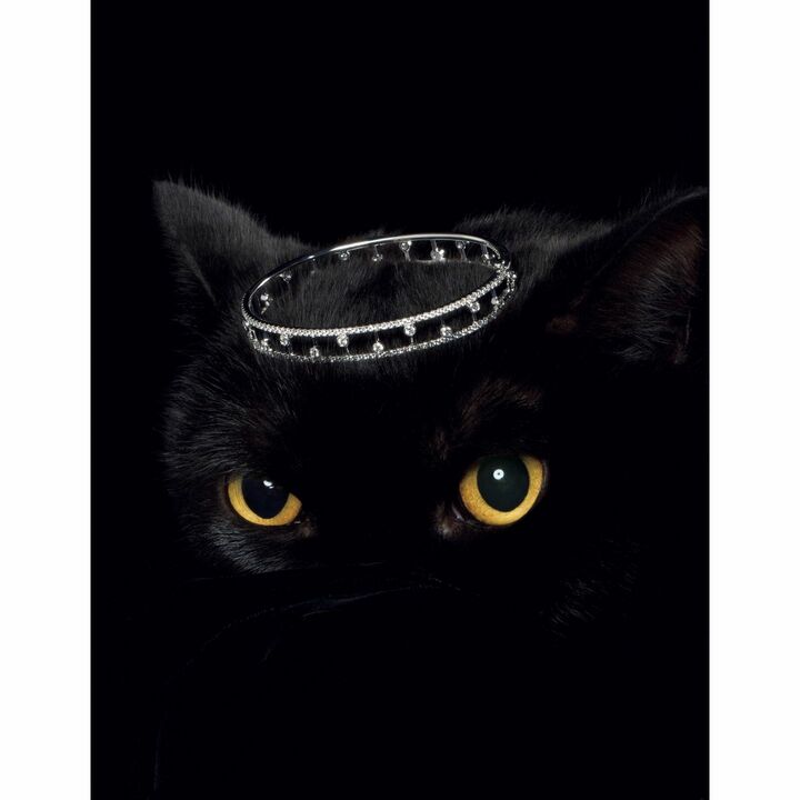 バングル『デュードロップ バングル』［WG×ダイヤモンド］（デビアス ダイヤモンドジュエラーズ ジャパン）