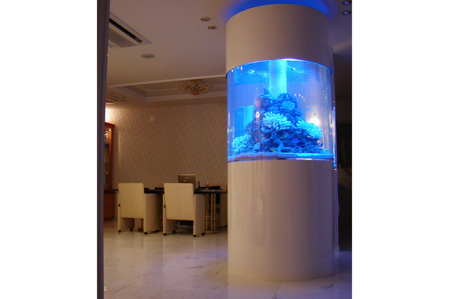 初心者の方には、海水魚はニモとドリーでおなじみの「カクレクマノミ」や「ナンヨウハギ」、淡水魚は「ネオンテトラ」や「グッピー」、「エンゼルフィッシュ」など小さな魚が人気だそう。