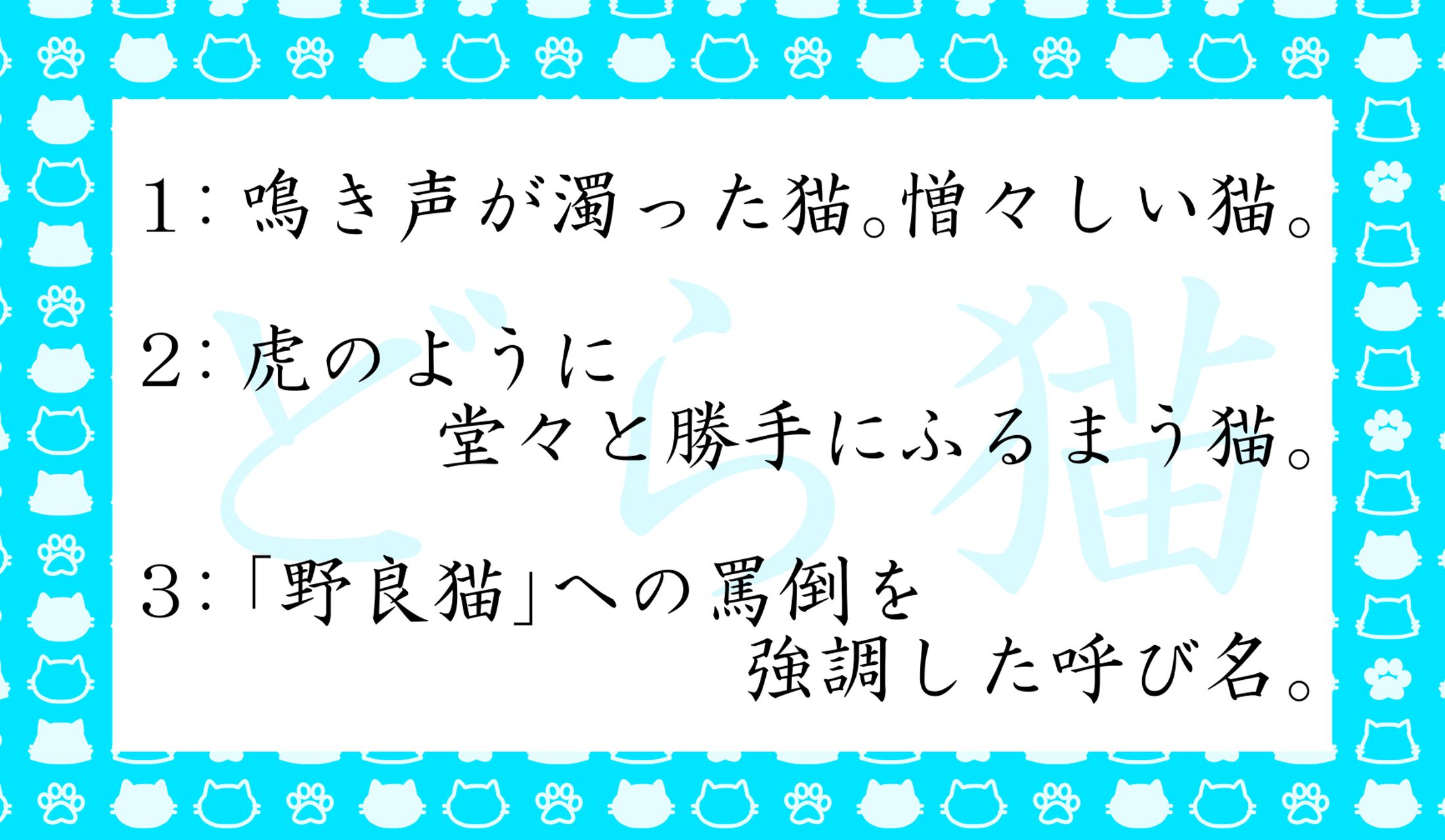 「どら猫」ってどんな猫のこと?