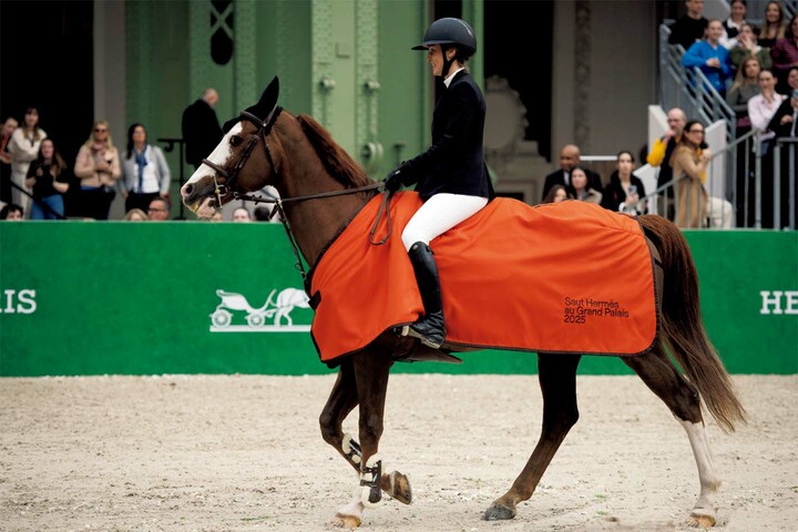 国際馬術競技大会「ソー・エルメス」の馬と競技者