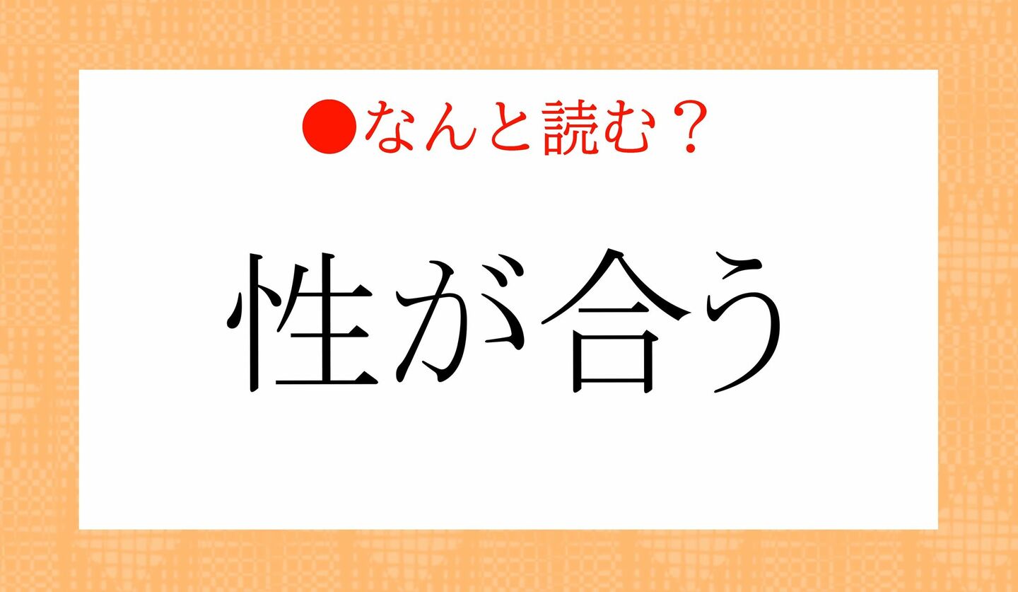 日本語クイズ　出題画像　難読漢字　「性が合う」なんと読む？