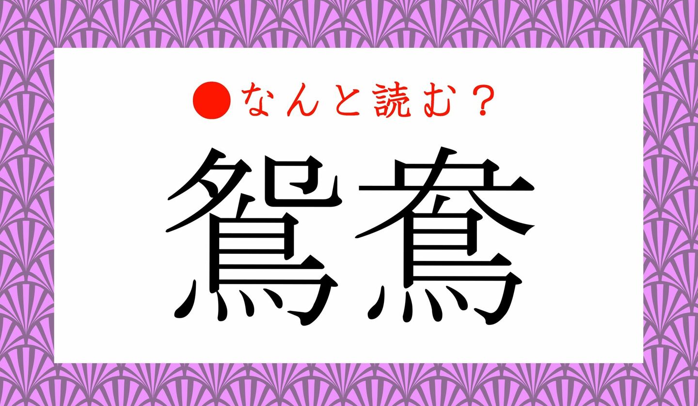 日本語クイズ　出題画像　難読漢字　「鴛鴦」なんと読む？