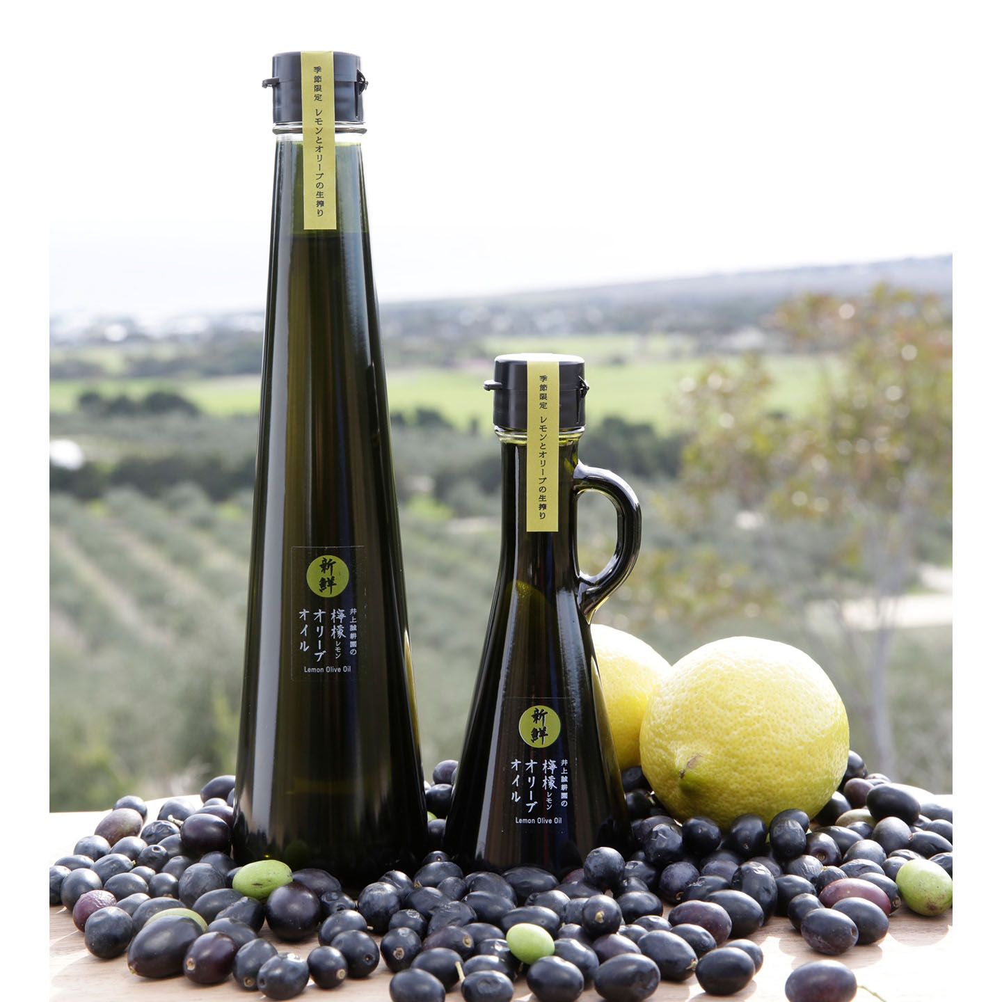 「井上誠耕新鮮檸檬オリーブオイル」117g ¥1,550・273g ¥3,000・117g <箱無>¥1,500(税抜)