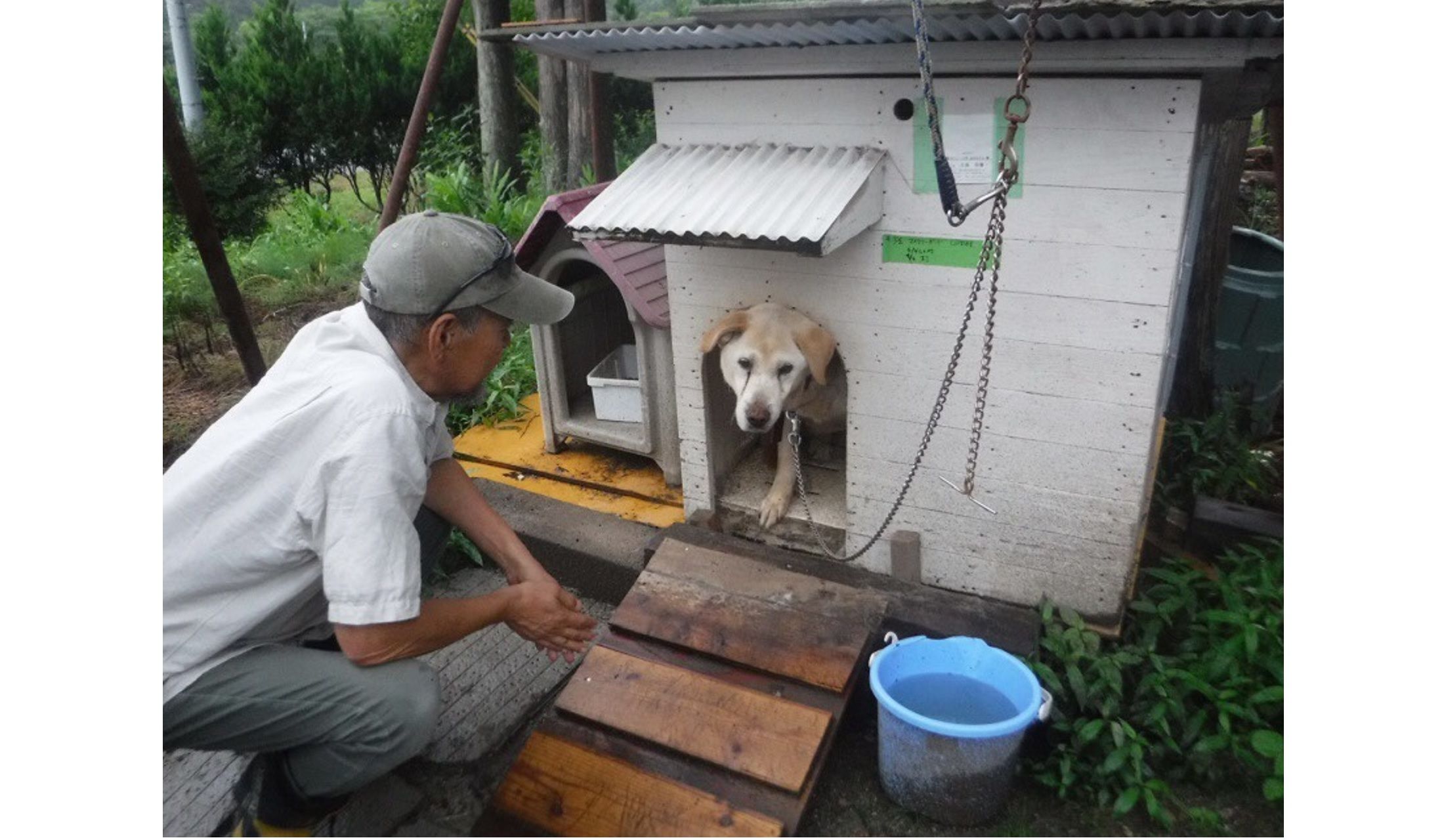清潔な小屋に入るツトム君