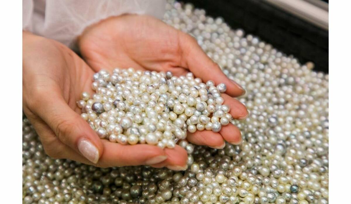 img_270dd27fc330f86f44c517cd7d