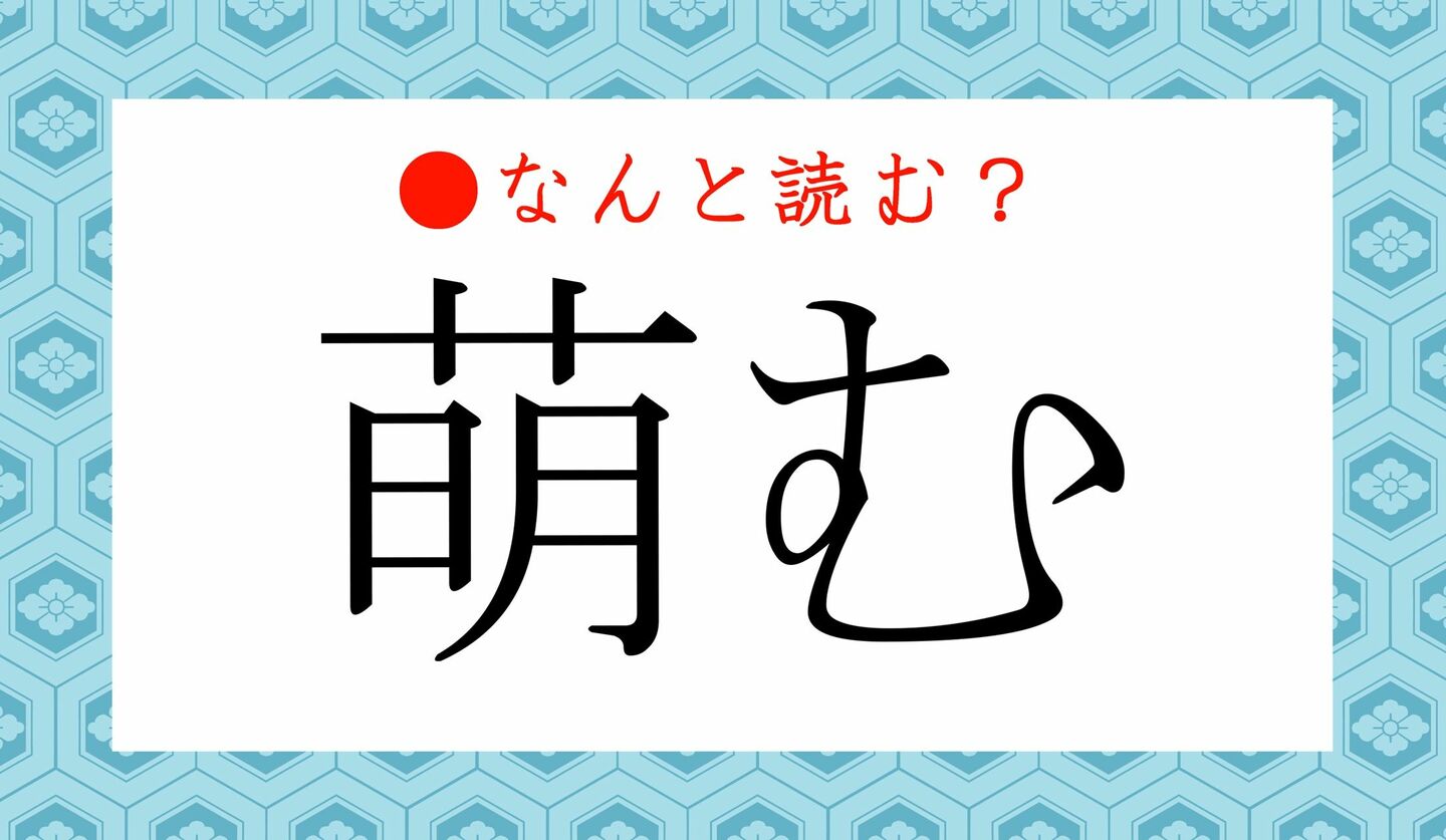 日本語クイズ　出題画像　難読漢字　「萌む」なんと読む？