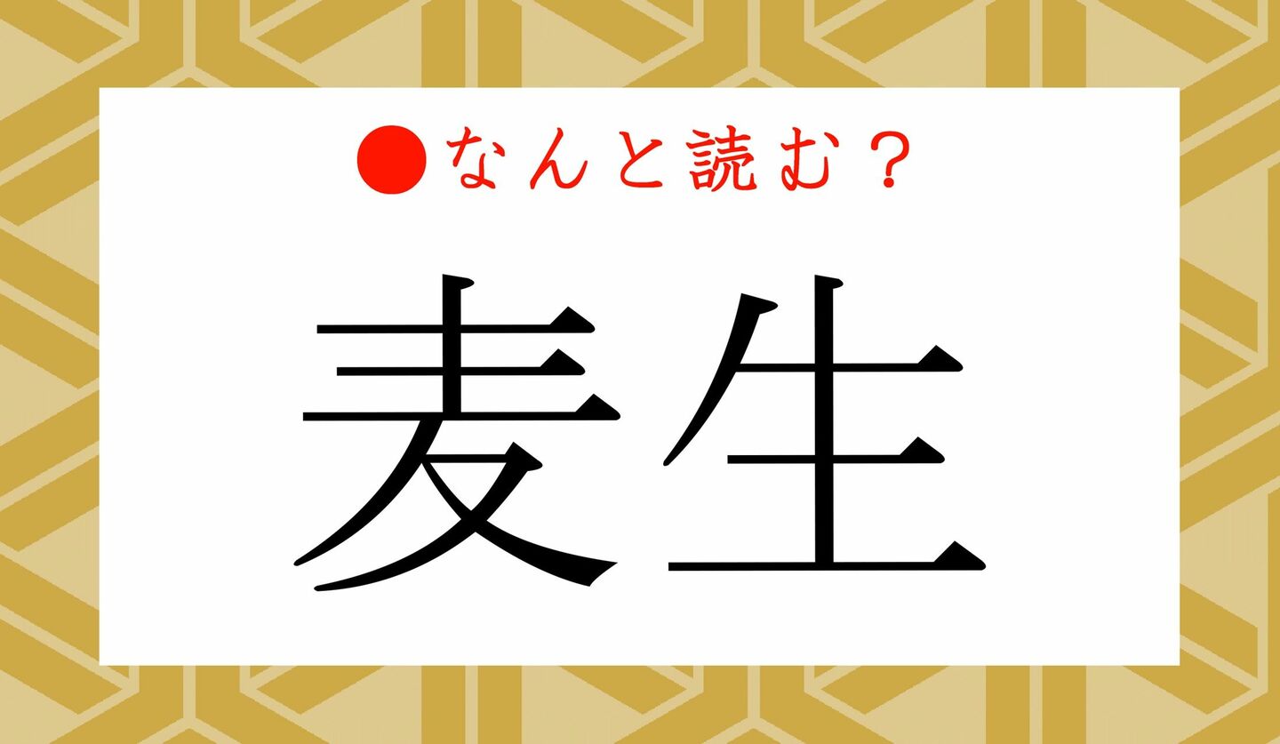 日本語クイズ　出題画像　難読漢字　「麦生」なんと読む？