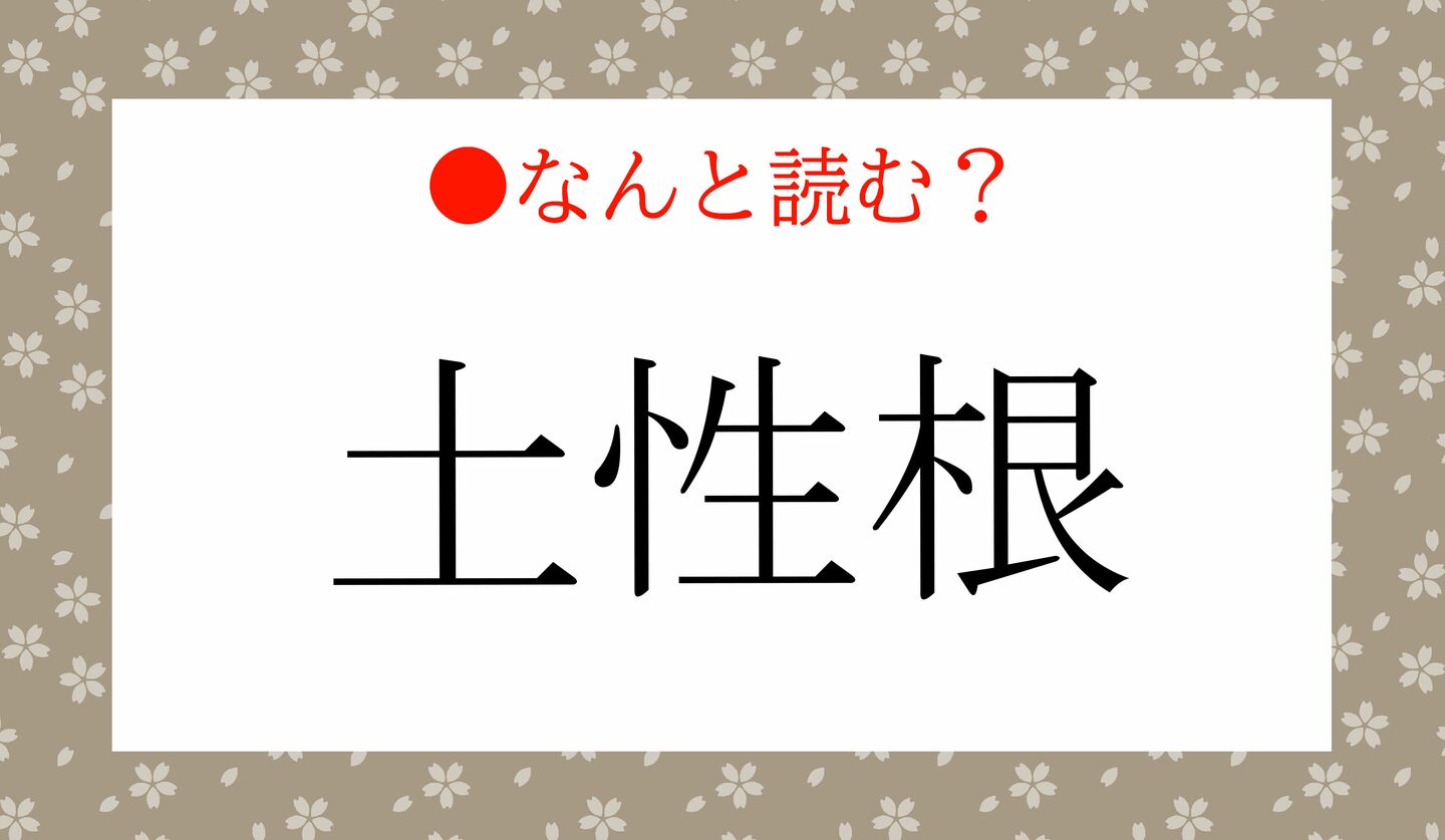 日本語クイズ　出題画像　難読漢字　「土性根」なんと読む？