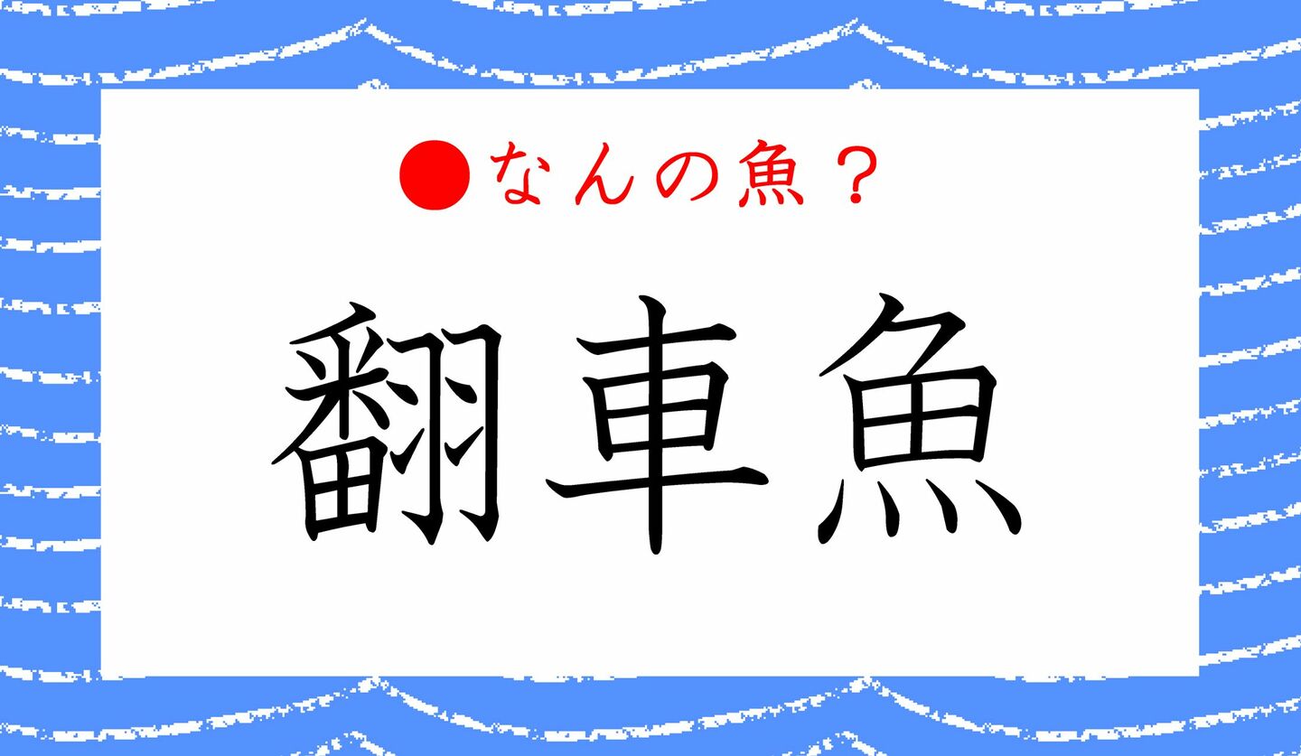 日本語クイズ　出題画像　難読漢字　「翻車魚」なんの魚？