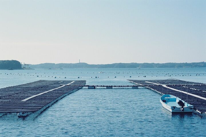 パール_1