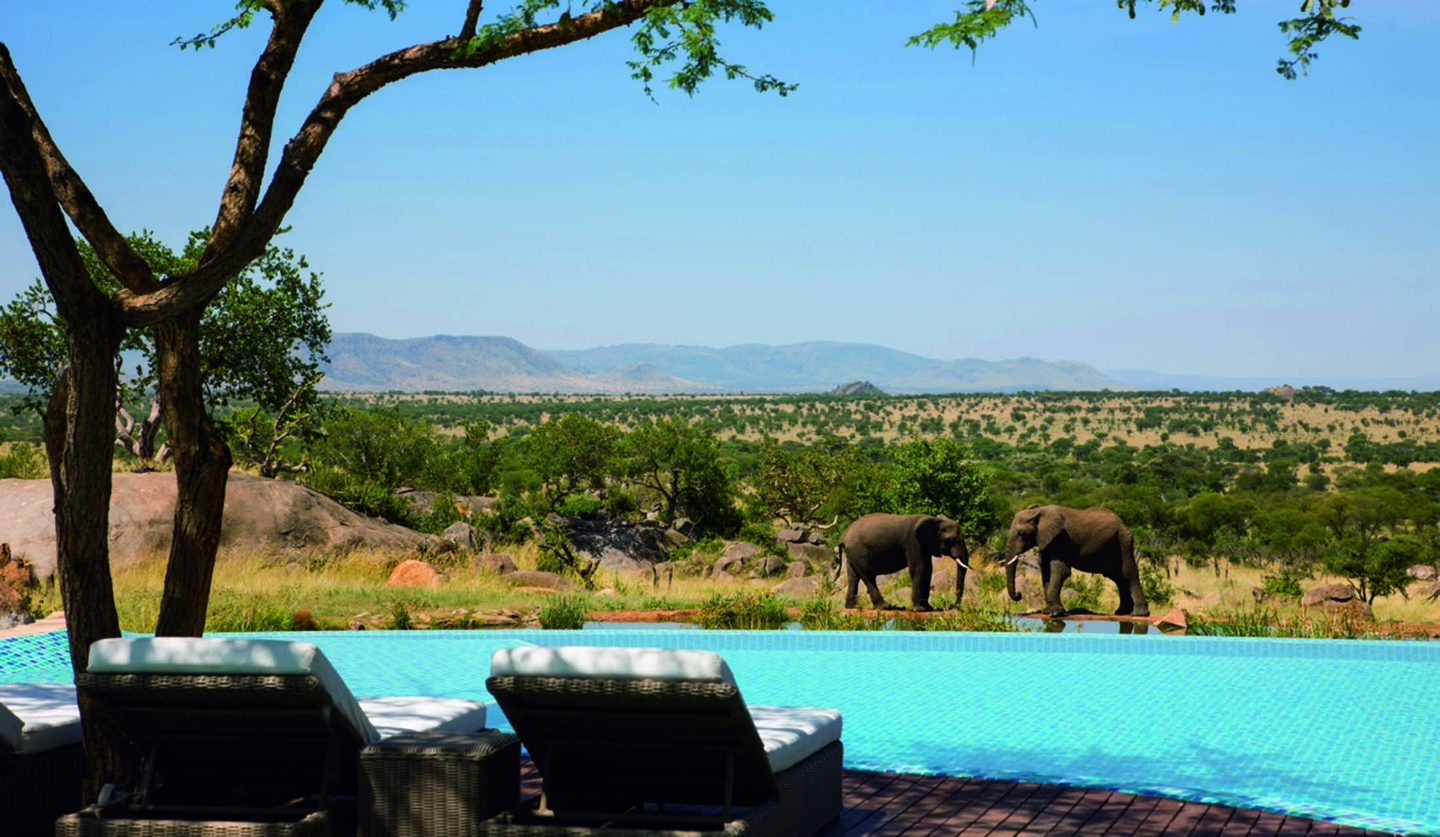 タンザニアの「フォーシーズンズ・サファリ・ロッジ」ではプールから象などの動物が眺められる