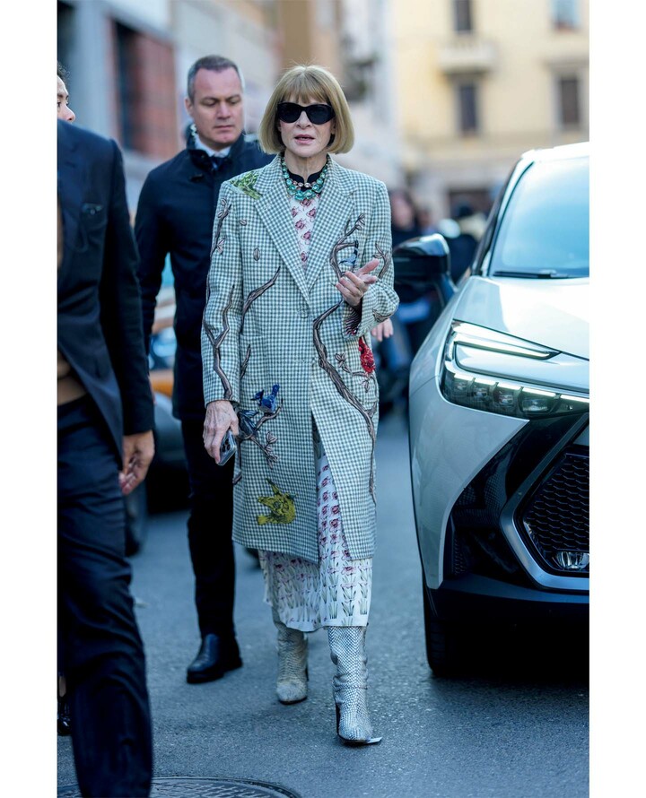 アナ・ウィンターのスナップ