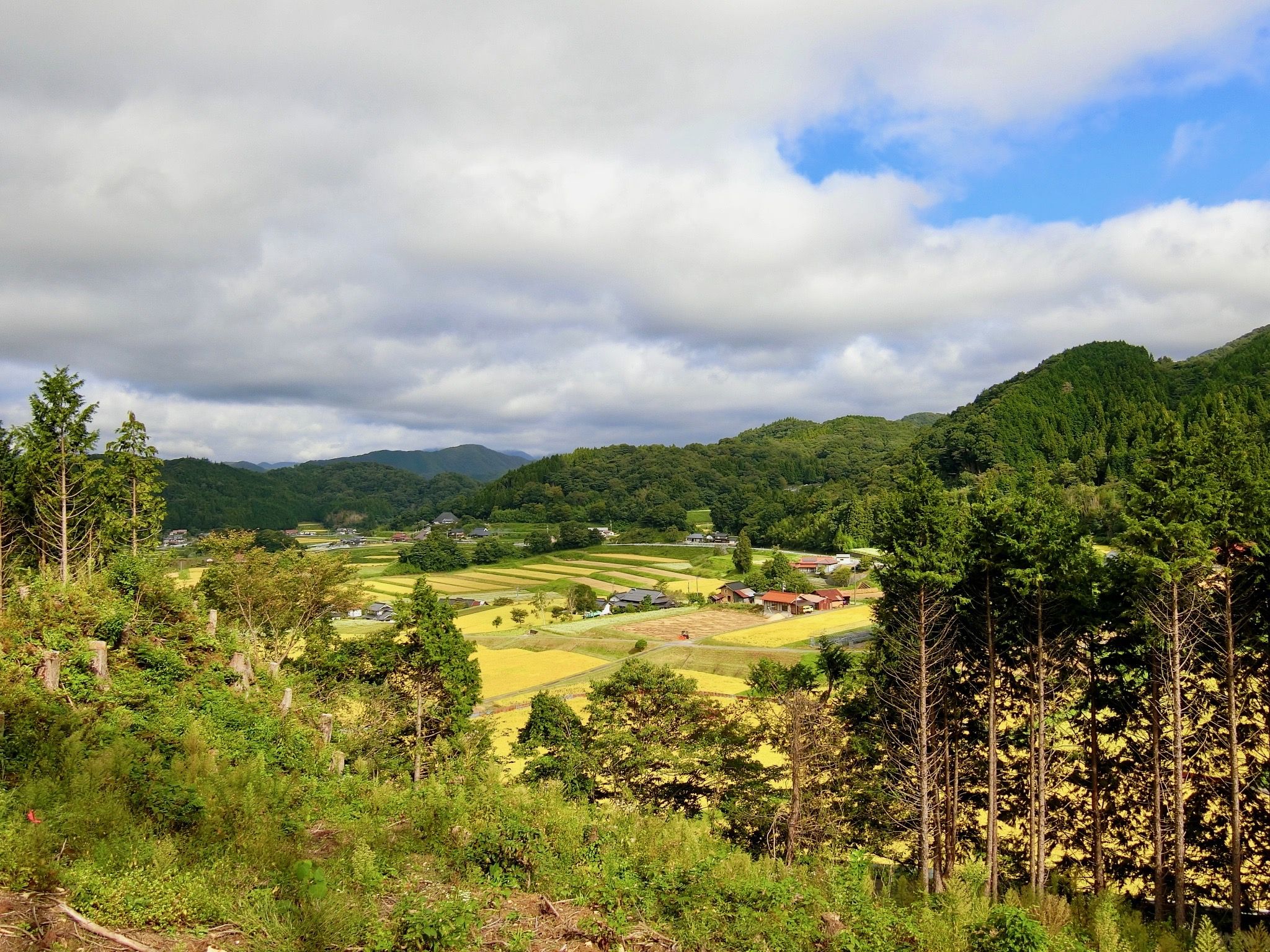 旅行_8,和文化_8,国内旅行_8