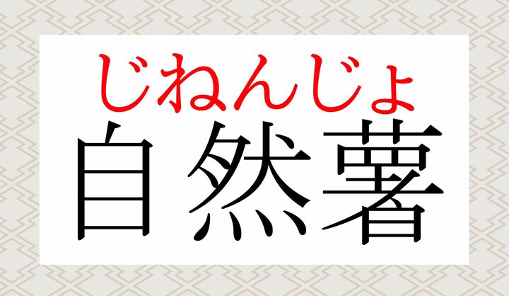 ヤマイモの中でも貴重かつ高価な品種として有名ですね。