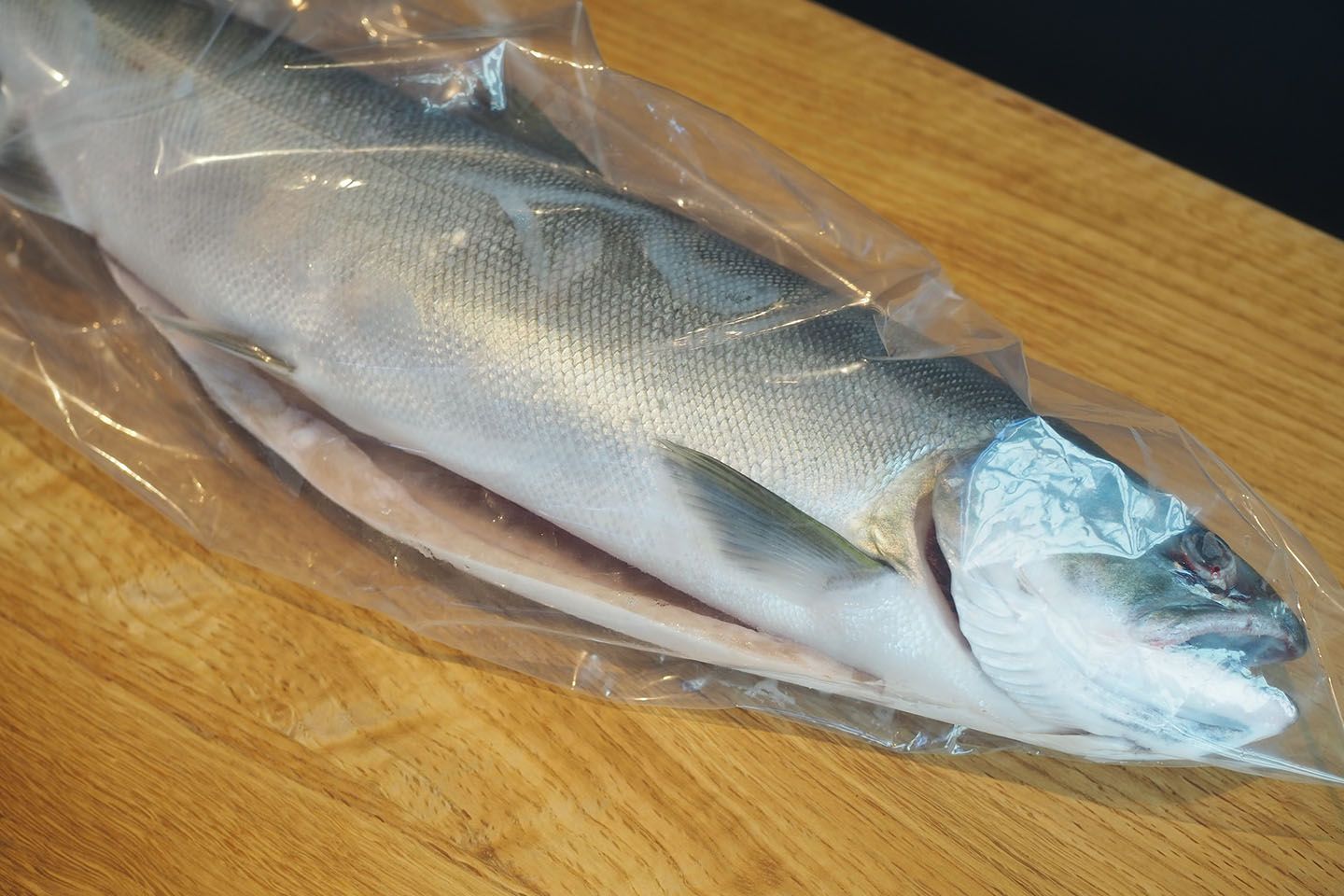 日本一の大きさを誇る琵琶湖に住むビワマス。