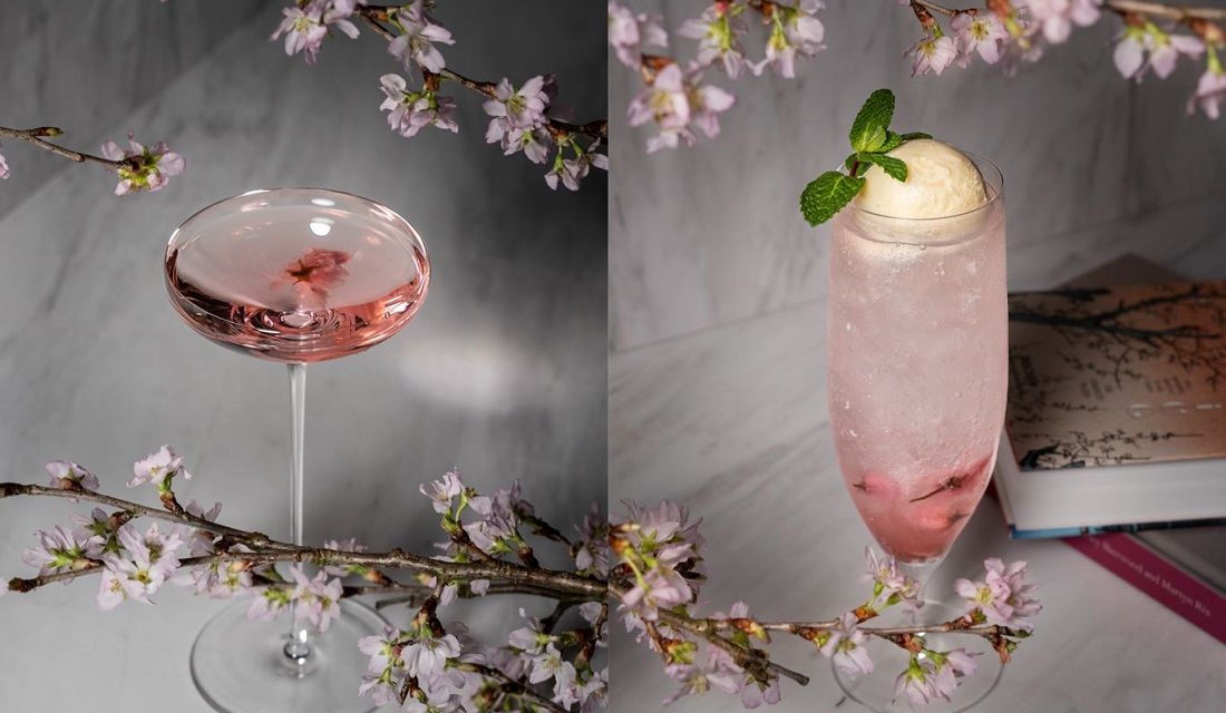 ピンク色のカクテルでおいしいお花見！「桜カクテル」が楽しめる