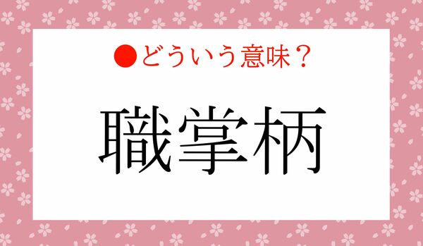 「職掌柄」ってどういう意味？「職業柄」とはどう違うの？