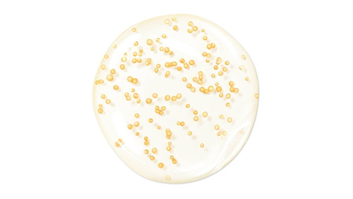 ゲラン「アベイユ ロイヤル ウォータリー オイル セロム リミテッド エディション」