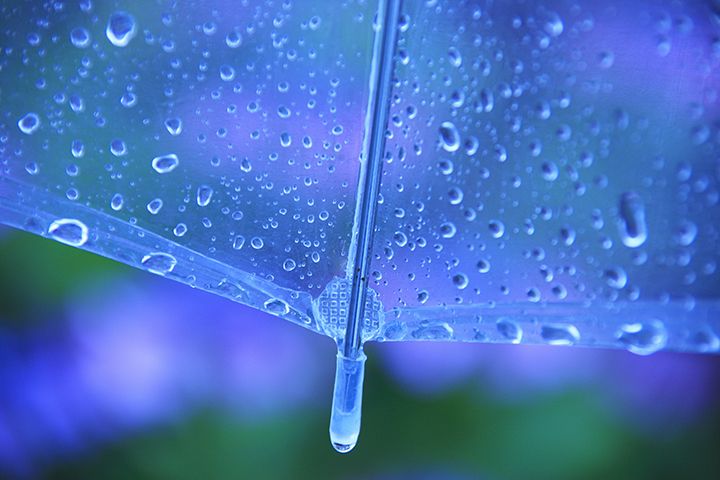 梅雨が付く言葉の意味