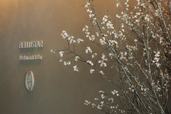 「BELLUSTAR TOKYO, A Pan Pacific Hotel」に飾られた桜