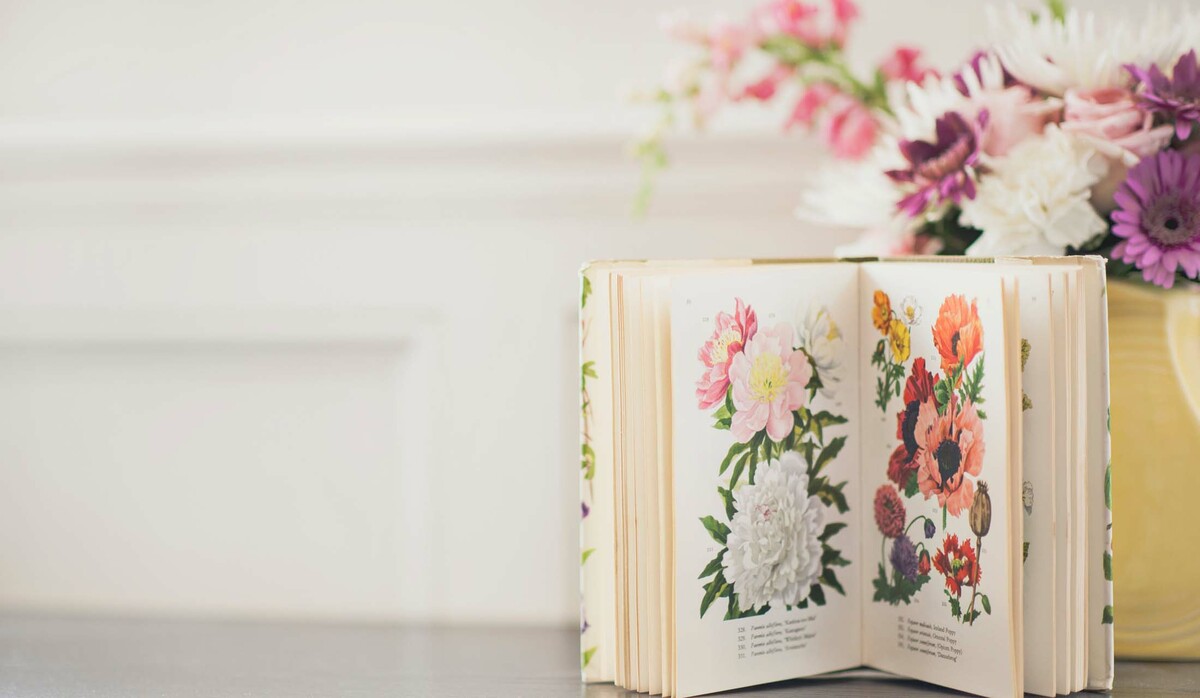 出版記念パーティー って何 招待されたときのマナーや服装は Precious Jp プレシャス