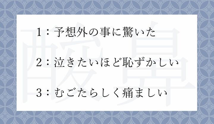 「酸鼻（さんび）」の意味として正しいのはどれ？
