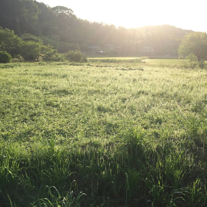 堀江さんセカンドハウス近くの田園風景