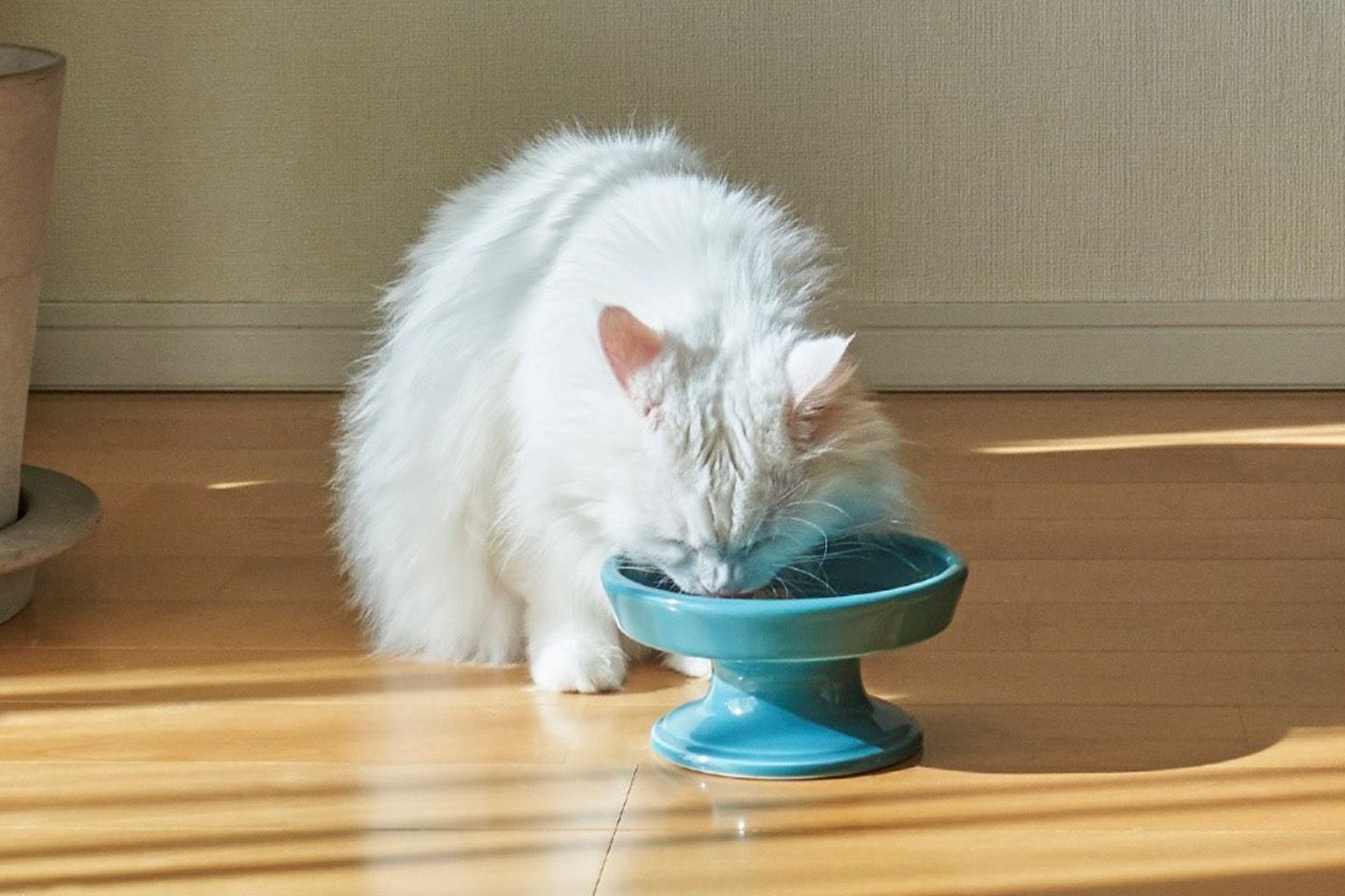 ストレスなくモリモリご飯を食べらるデザイン
