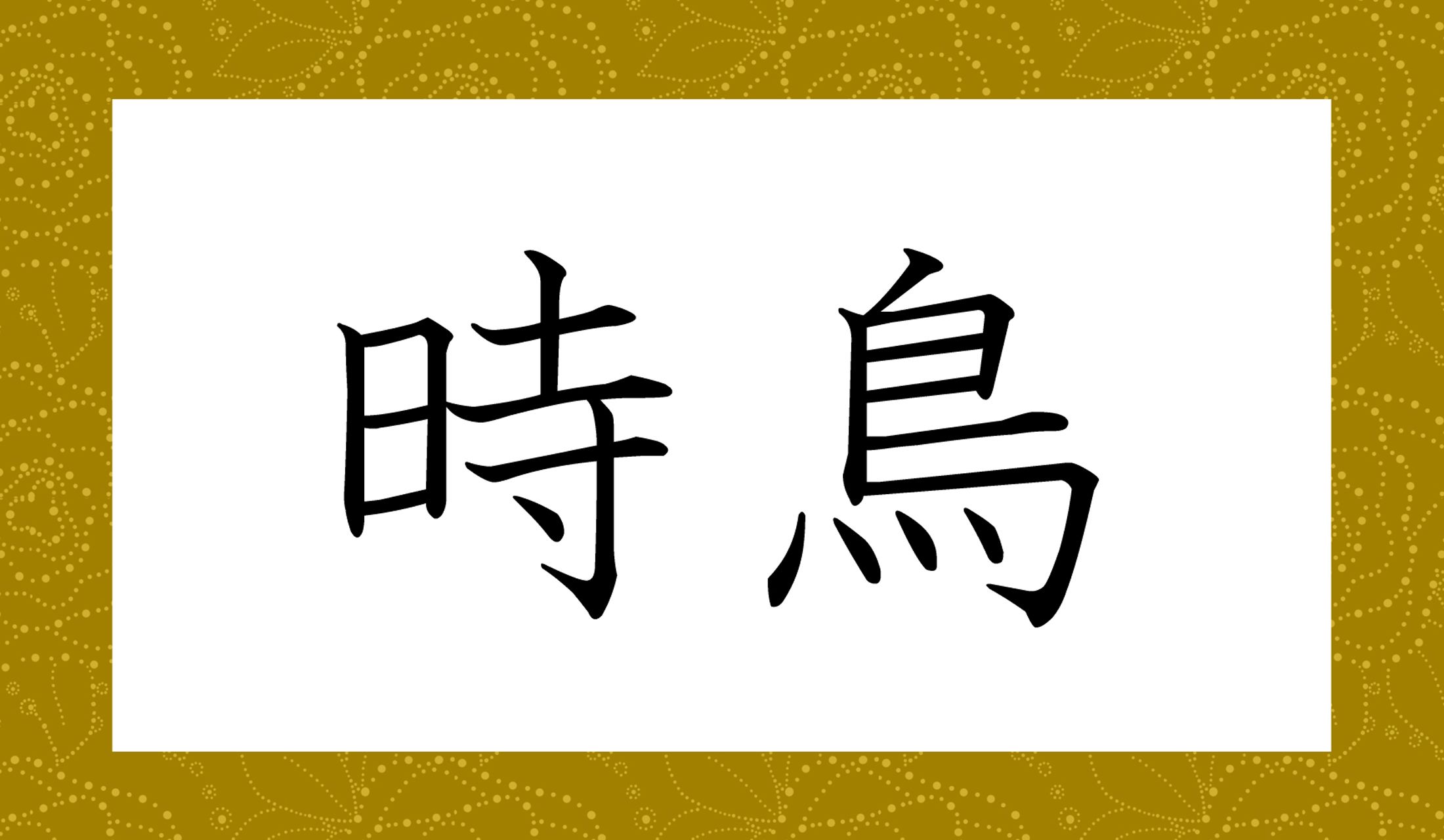 読み仮名5文字の、鳥です。