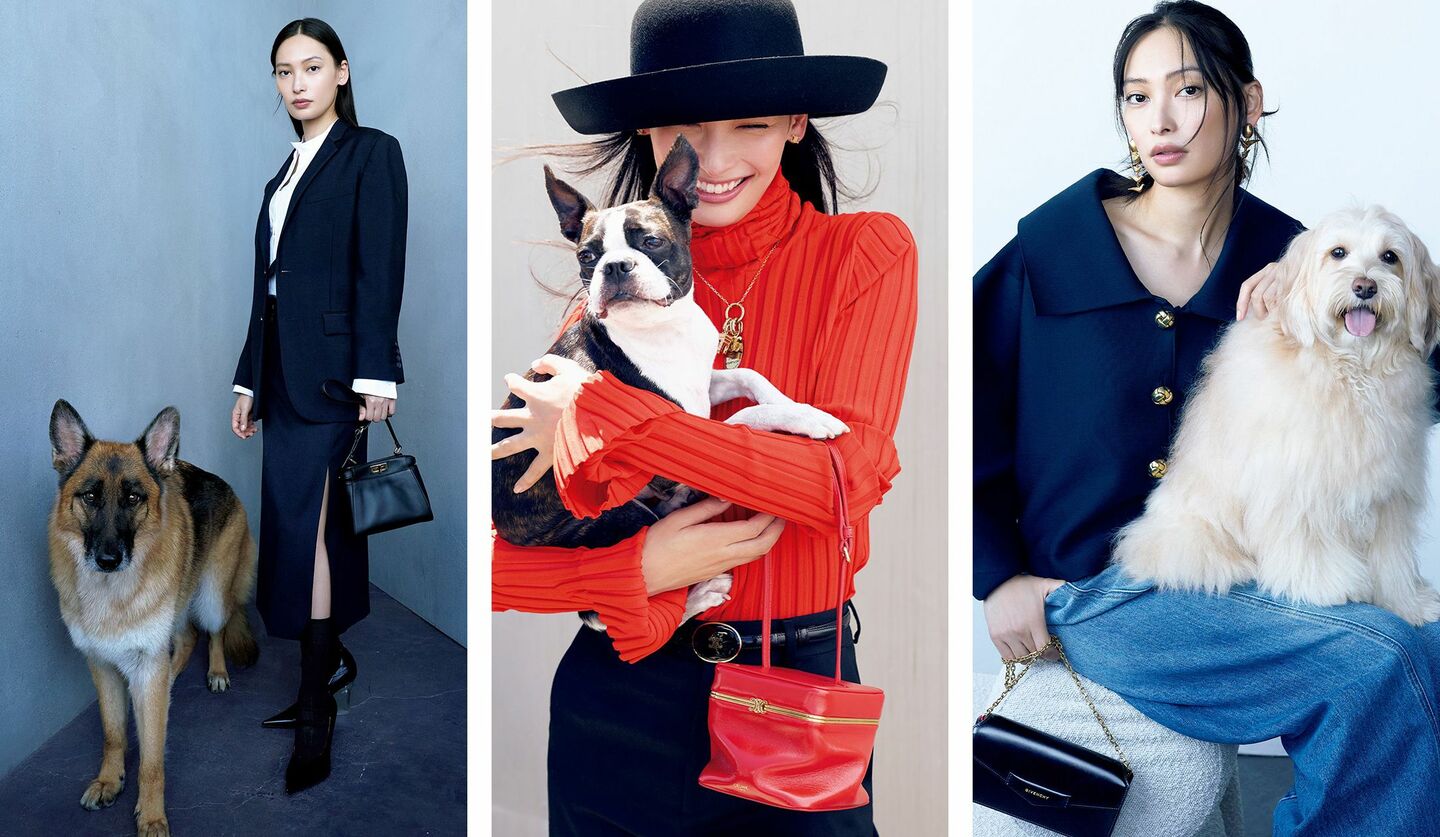 大政絢さん、犬モデルのリヒト、おっくん、フラン