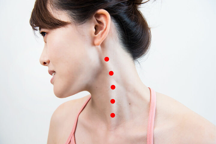耳下から鎖骨にかけて浮き上がる大きな筋肉が「胸鎖乳突筋」です。首を傾けると位置を確認しやすいですよ。