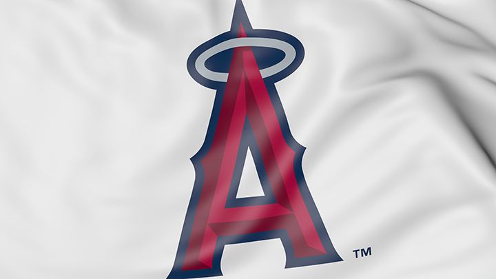 大谷翔平選手の持って生まれた才能とは?