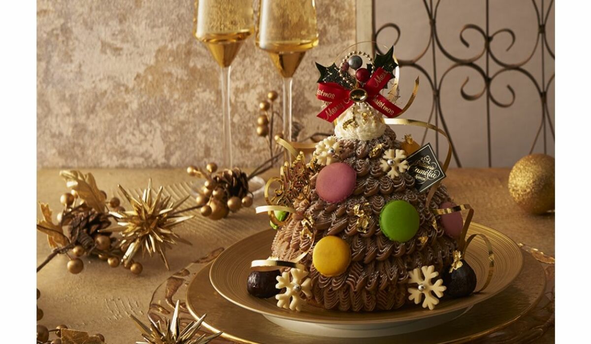 クリスマス❣️おめ目が可愛いサンタさん❣️ツリー、ばら、ケーキ 