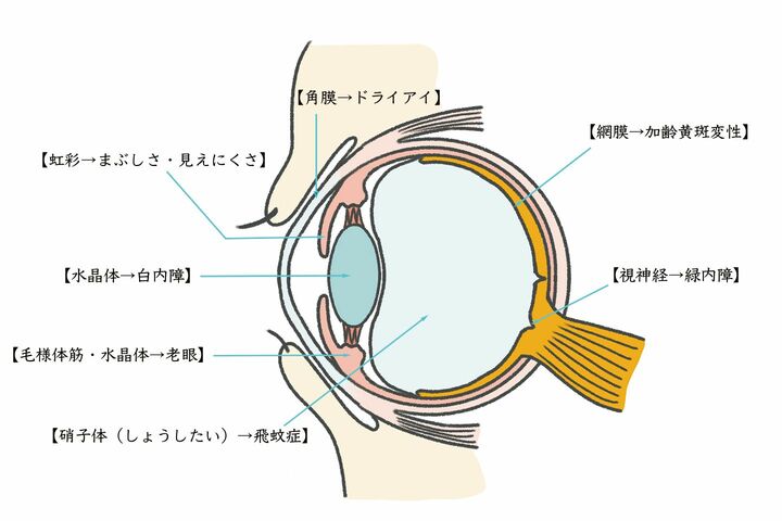 ボディケア_1