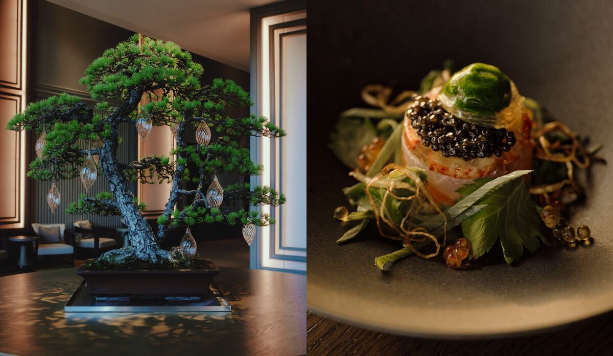 コレクション Yoshitsune sitting on a pine tree Yoshitsune sitting on a pine tree 【公式通販】