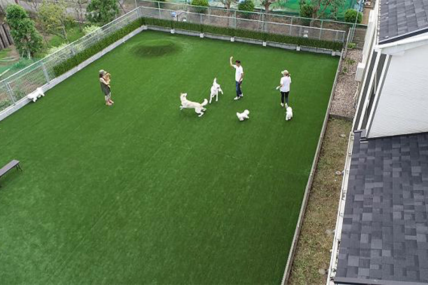 犬たちがうらやましすぎる!?